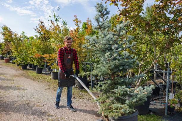 Best Tree and Shrub Care  in Emsworth, PA